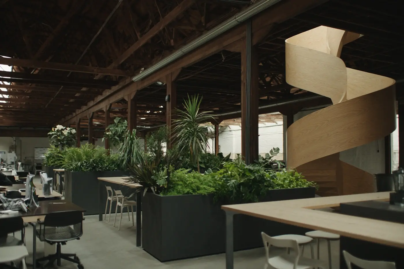 A warehouse workplace with timber trusses, planting and a spiral oak stair
